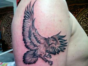 Aigle