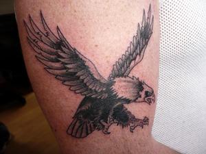 Aigle