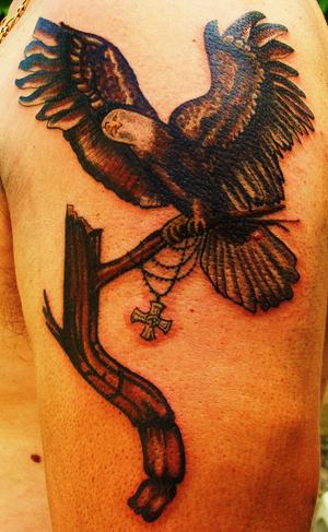 aigle couleur