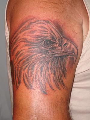 aigle réaliste