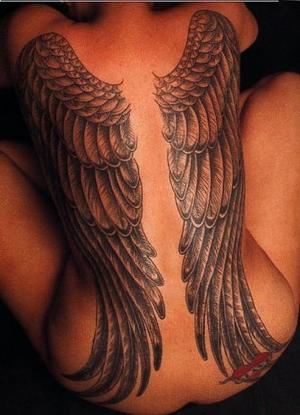 Ailes d'aigle