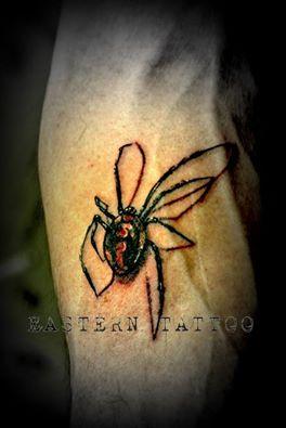 Araignée