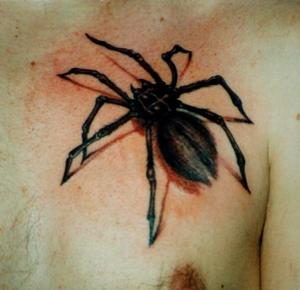 araignée noire