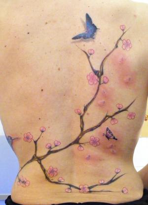 Branche de cerisier et papillon