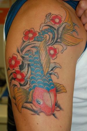 carpe couleurs