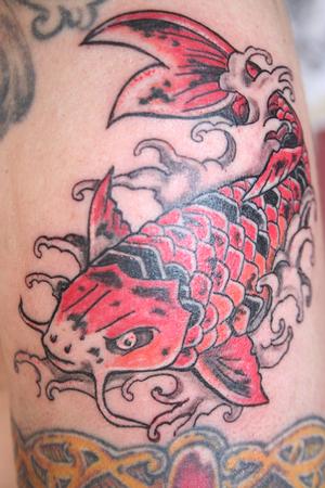 carpe koi