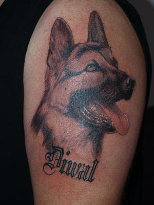 Chien