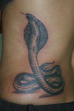 cobra réaliste