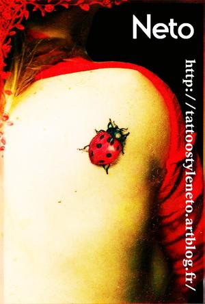 Coccinelle réaliste