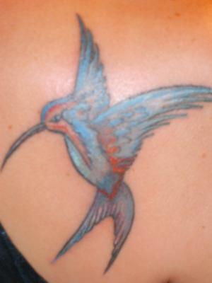 Colibri