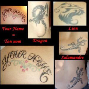 dragon, lion, salamandre