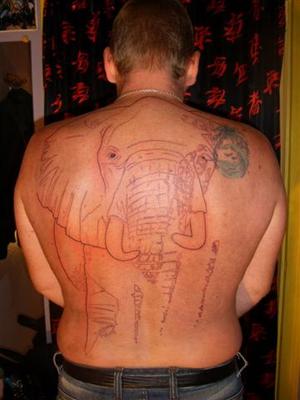 Eléphant d' Afrique