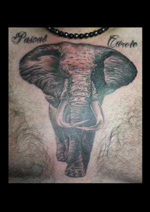 Eléphant réaliste