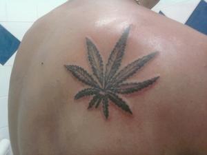 feuille de cannabis