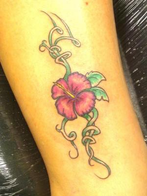 fleur d'hibiscus et liane