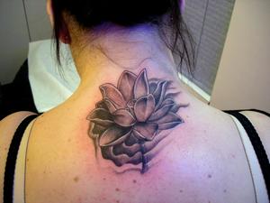 Fleur de lotus