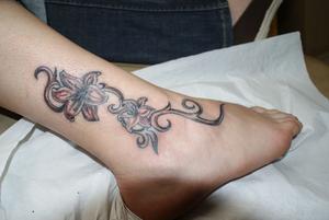 fleurs d'hibiscus