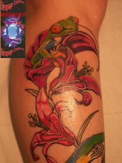 Grenouille sur une fleur