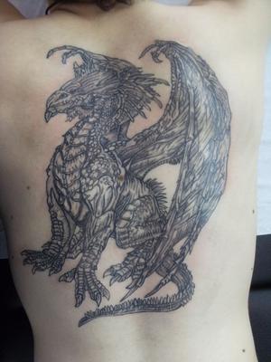 Griffon