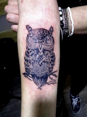 Hibou