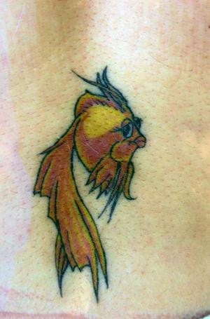 Photo de Kill koi, poisson tropical, dessin, poisson