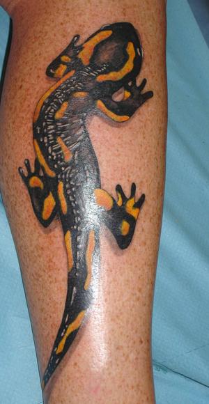 lézard réaliste en couleur