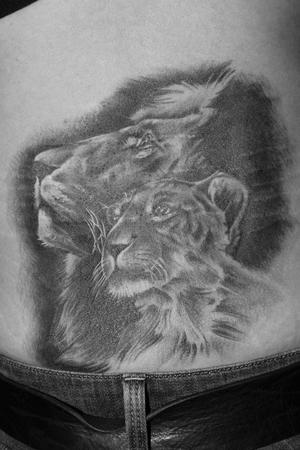 Lion et lionne réaliste en noir et gris