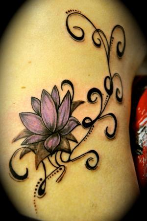 lotus arabesques