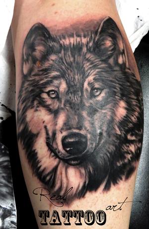 Loup réaliste