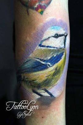 oiseau réaliste couleur