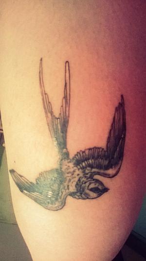 Oiseau