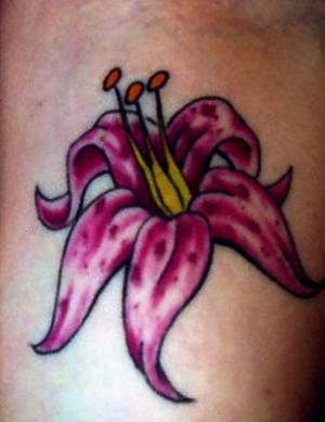 Orchidée rose