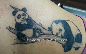 Pandas