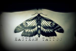 papillon