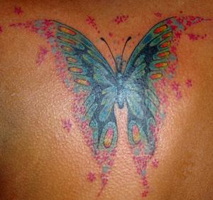 Photo de papillon couleur, papillon, animaux réalisé par Bodygraphic