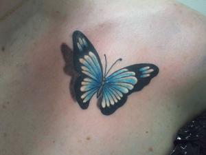 papillon couleur