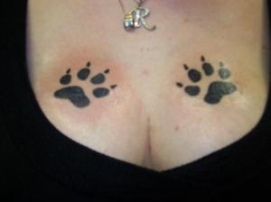 Pattes