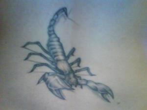 petit scorpion