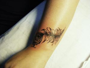 Plume de paon