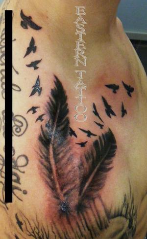 Plumes et aigles