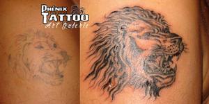 Recouvrement d'un Lion