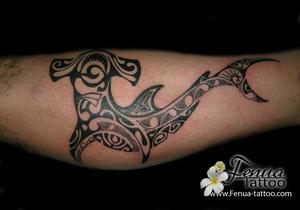 requin marteau