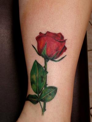 rose cheville