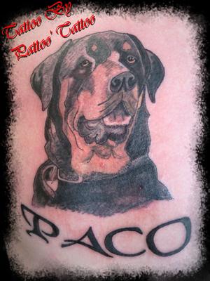 Rottweiler