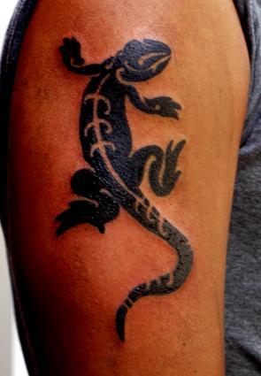 salamandre noire