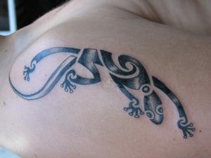 salamandre tribal