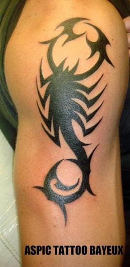 scopion tribal