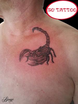 Scorpion