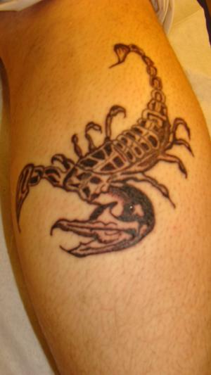 scorpion