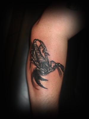 scorpion